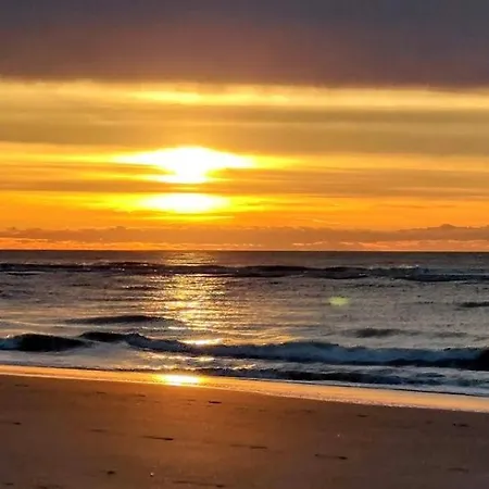 Apartman Louisiana 1 - Koninklijke Baan 71-b1