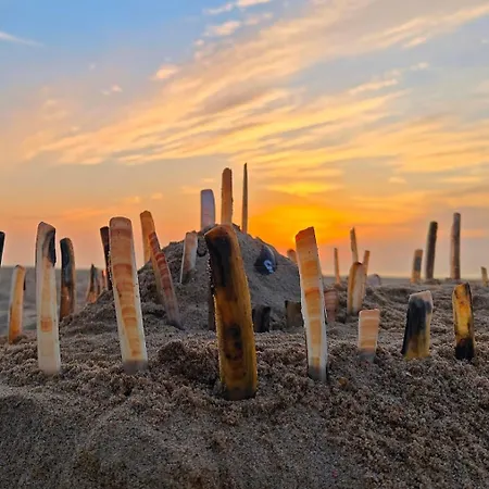 Louisiana 1 - Koninklijke Baan 71-b1 Apartman *