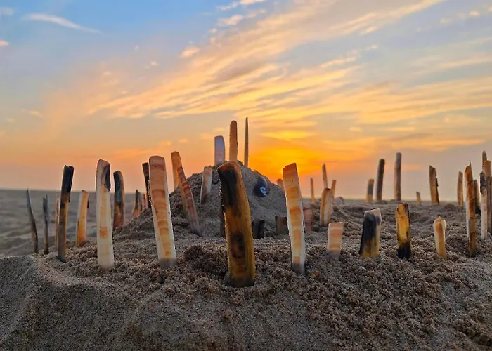 Louisiana 1 - Koninklijke Baan 71-b1 شقة *